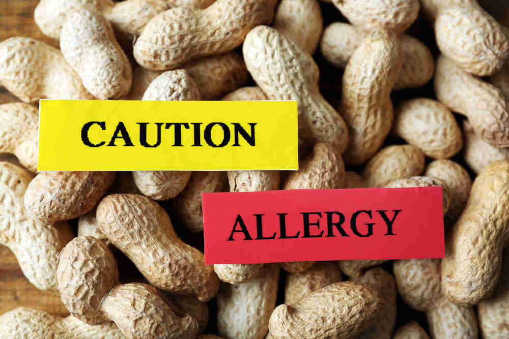 nut allergy nut allergy