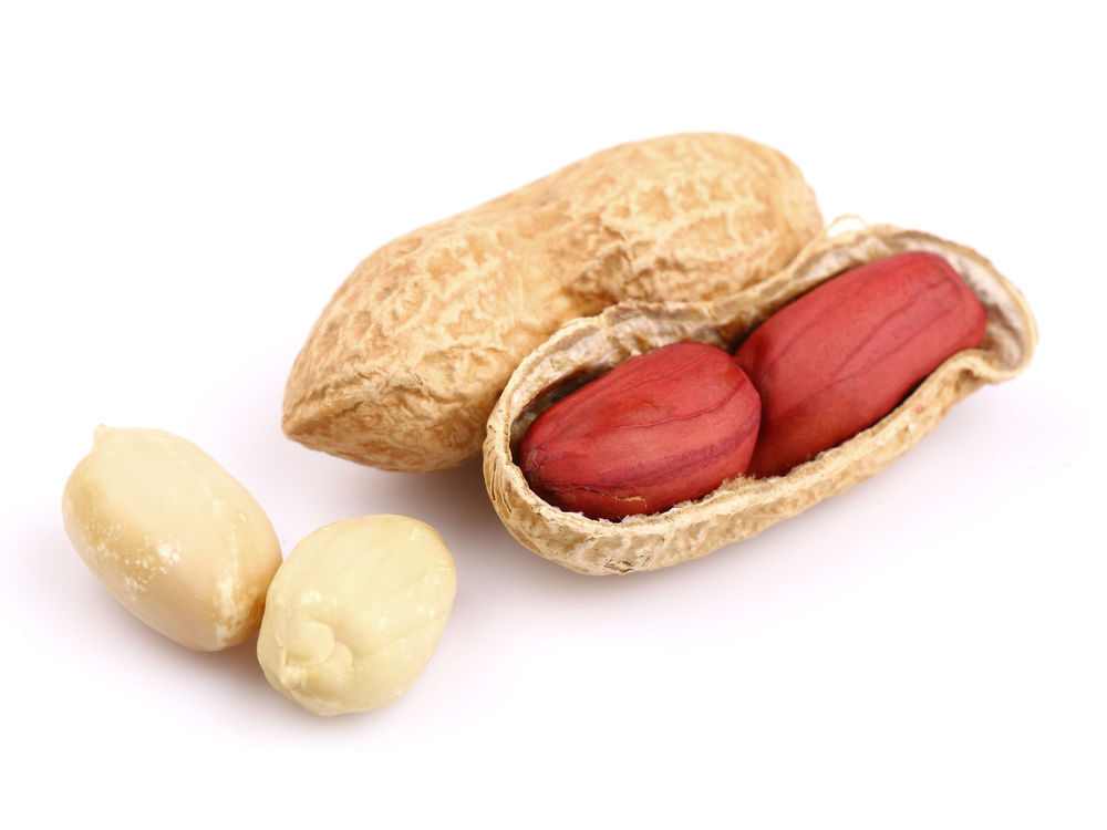 Dried peanuts peanuts