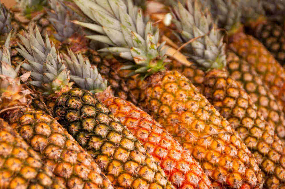 ripe pineapple ripe pineapple - Pineapple juice benefits for weight loss