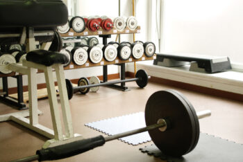 The Search For Weight Loss And Exercise Equipment