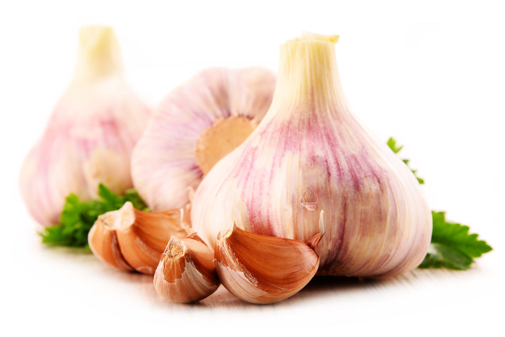 garlic secrets