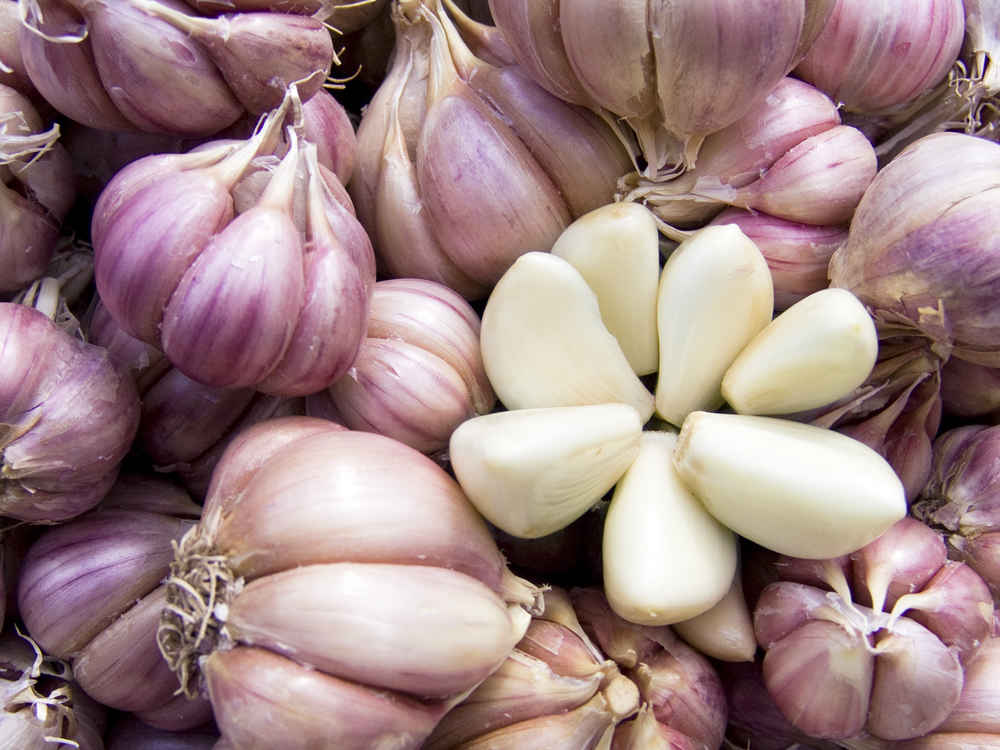 Why Is Eating Garlic Healthy? The Best Miracle Secrets Exposed