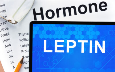 Secret Leptin Foods You Should Eat