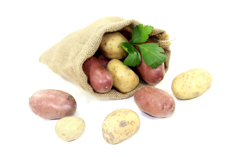 potatoes nightshades