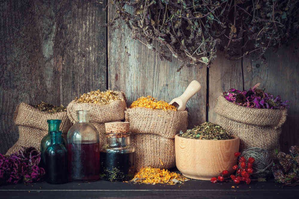 herbs