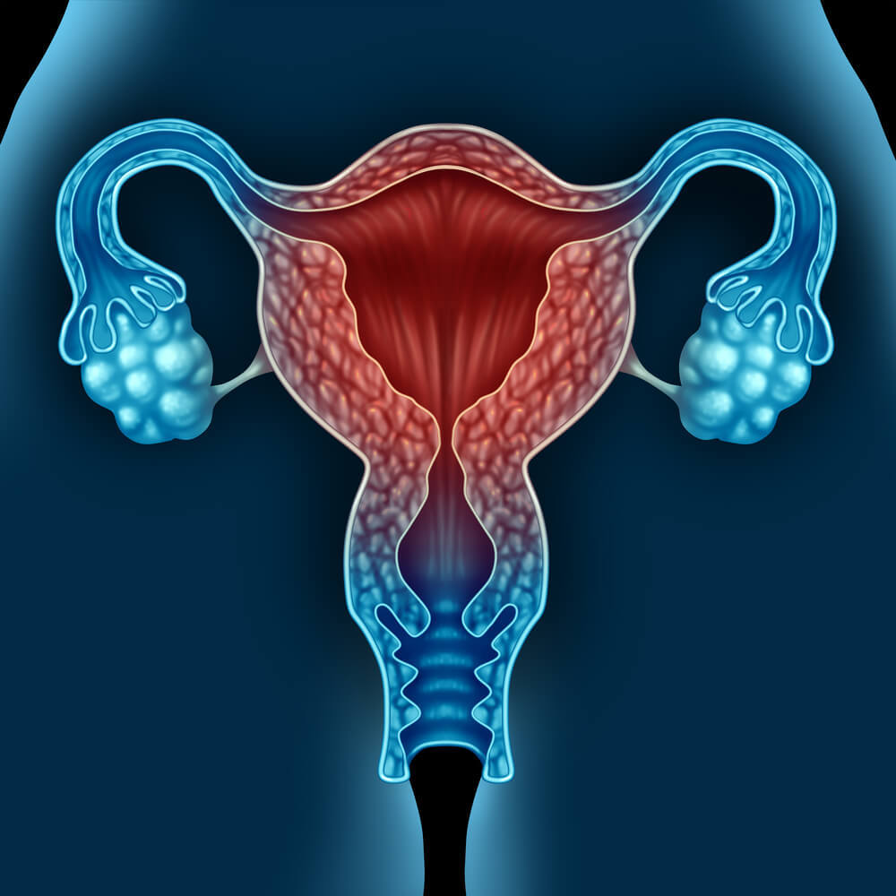 balance hormones secrets